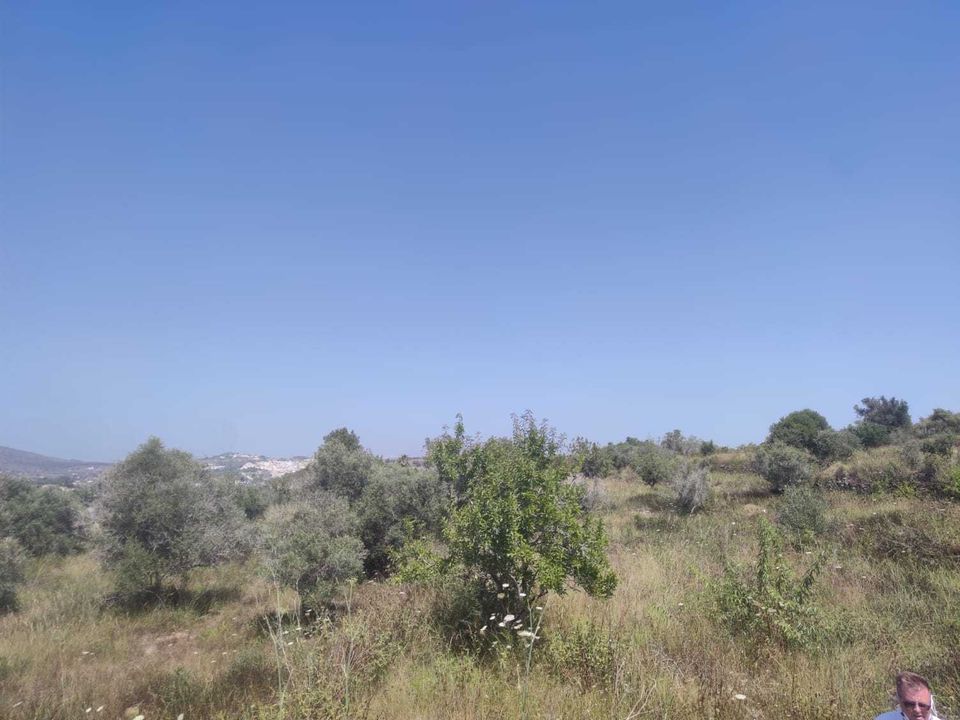 Helårsgrund i Benissa, Alicante - foto 3