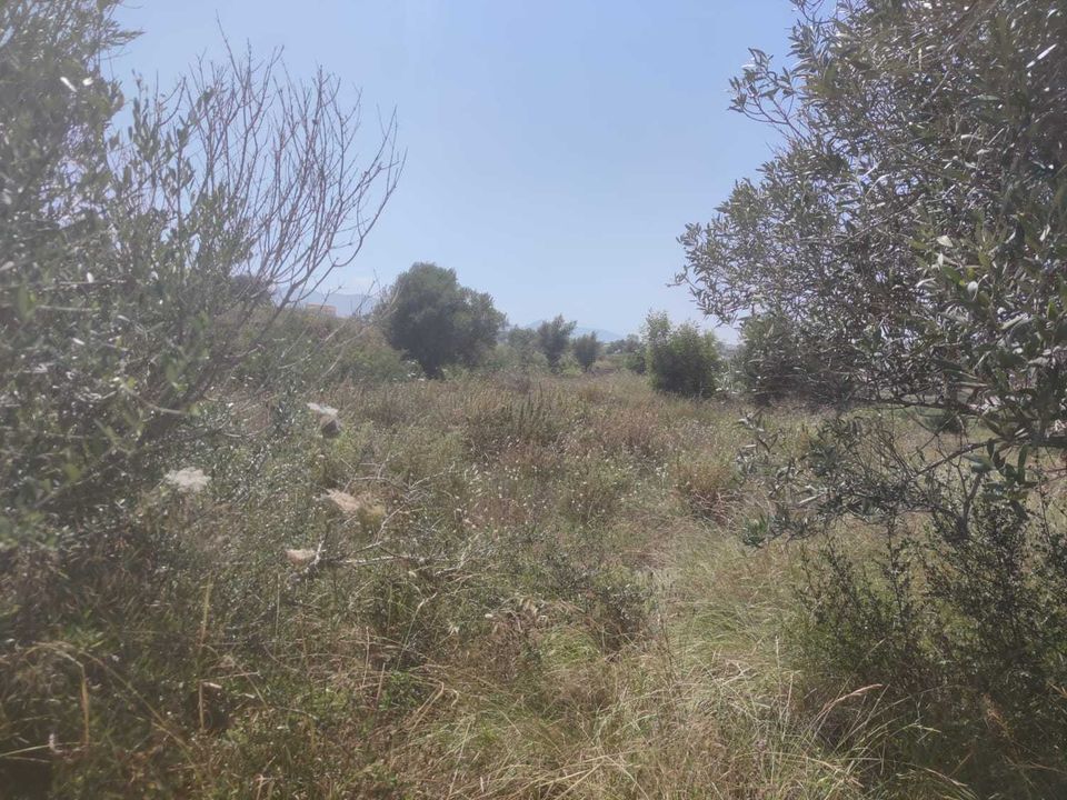 Helårsgrund i Benissa, Alicante - foto 4