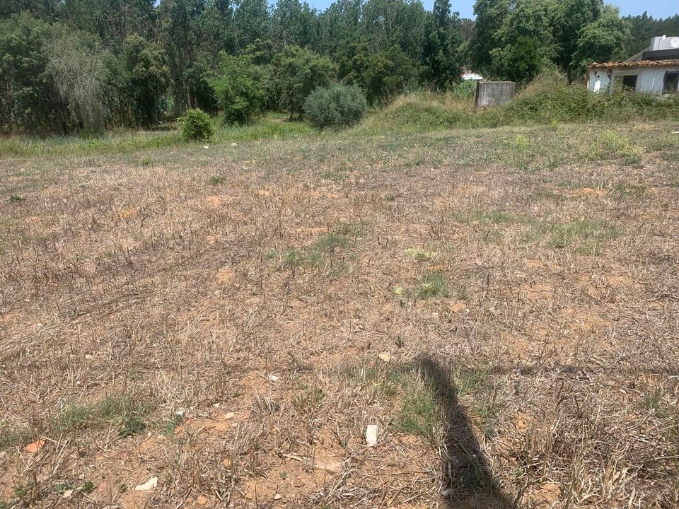 Helårsgrund i Rio Maior, Santarem - foto 1