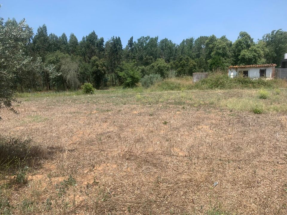 Helårsgrund i Rio Maior, Santarem - foto 2