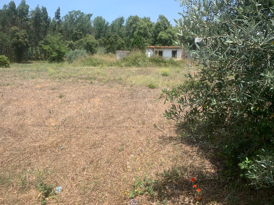 Helårsgrund i Rio Maior, Santarem - foto 4
