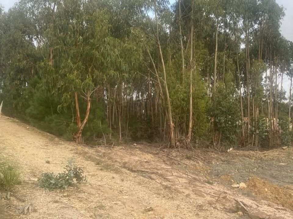 Terreno en Matacaes, Lisbon - foto 4