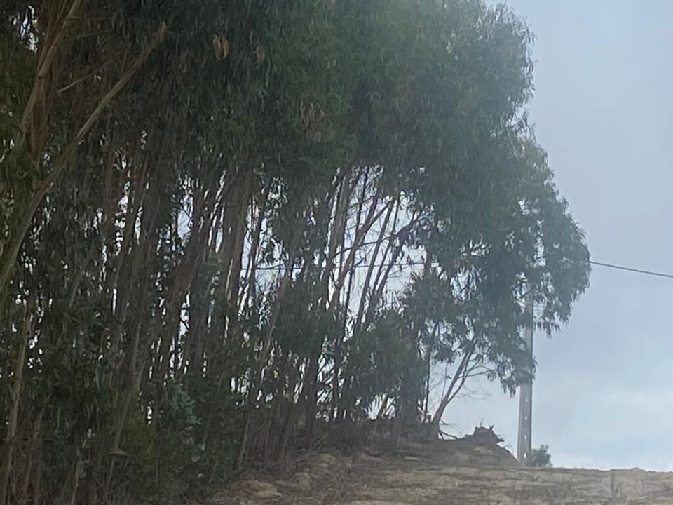 Terreno en Matacaes, Lisbon - foto 5