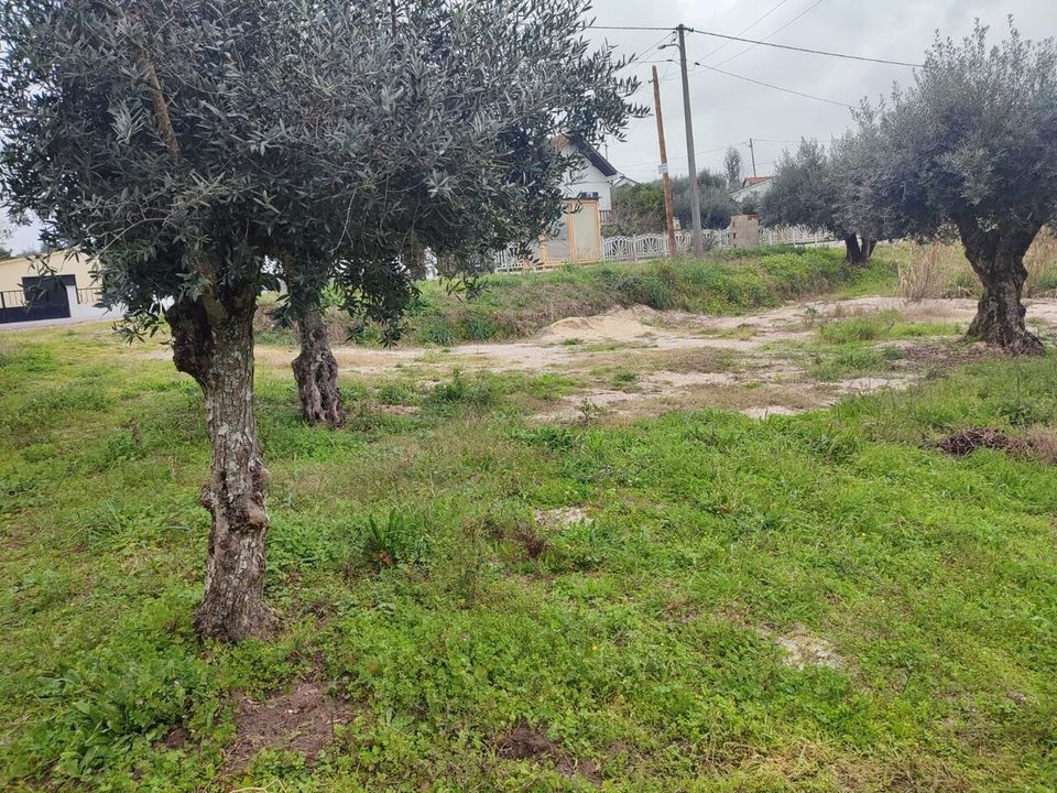 Helårsgrund i Ourem, Santarem - foto 5