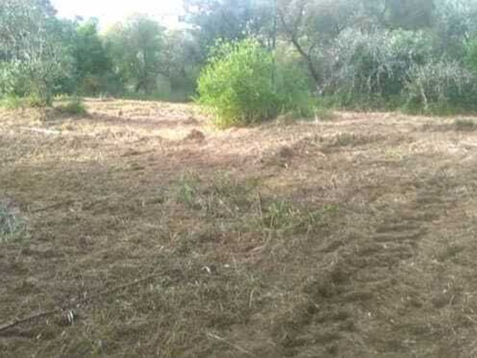 Helårsgrund i Ourem, Santarem - foto 1