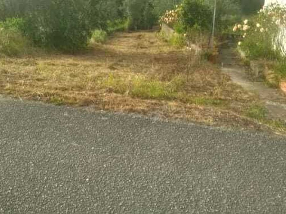 Helårsgrund i Ourem, Santarem - foto 2
