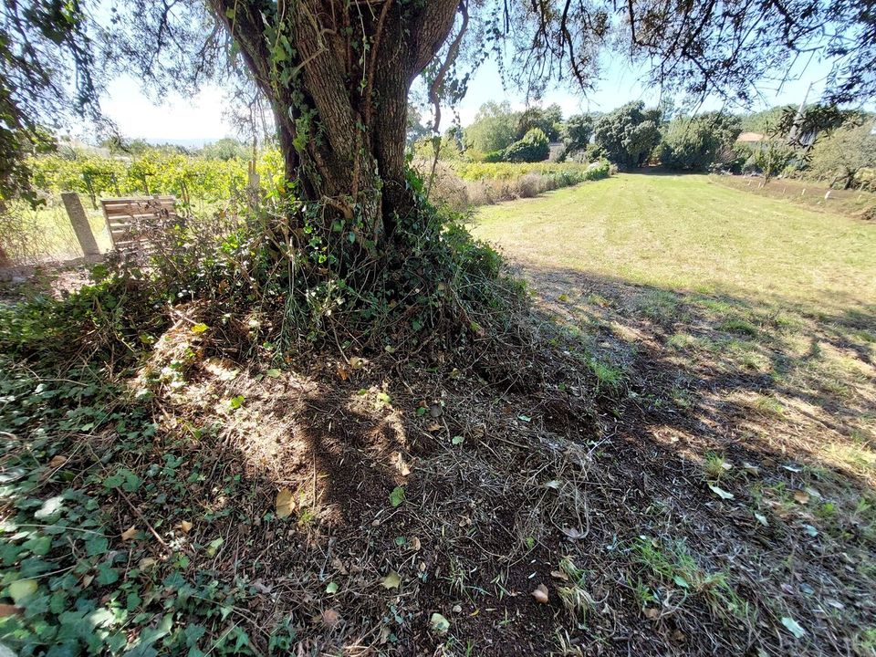 Helårsgrund i Moncao, Viana do Castelo - foto 1