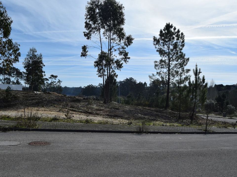 Helårsgrund i Pombal, Leiria - foto 5