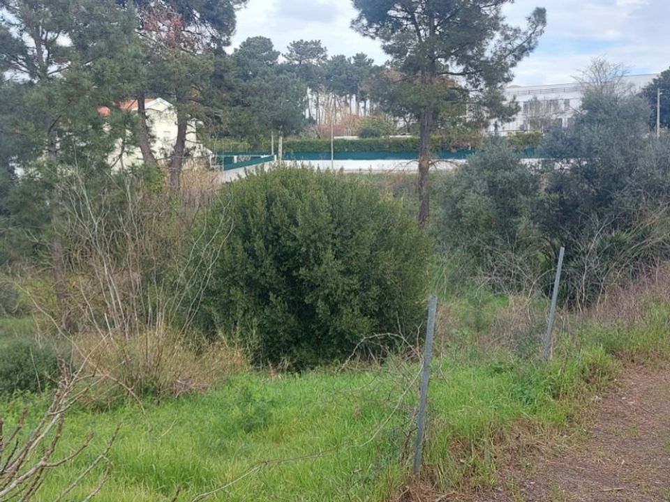 Helårsgrund i Brejos de Azeitao, Setubal - foto 2