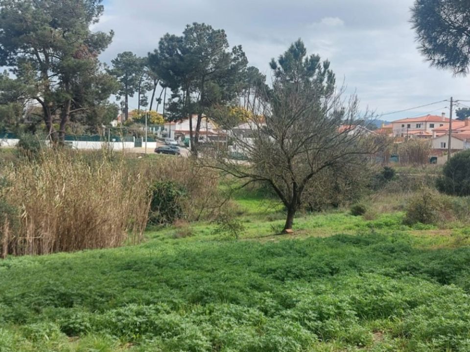 Helårsgrund i Brejos de Azeitao, Setubal - foto 4