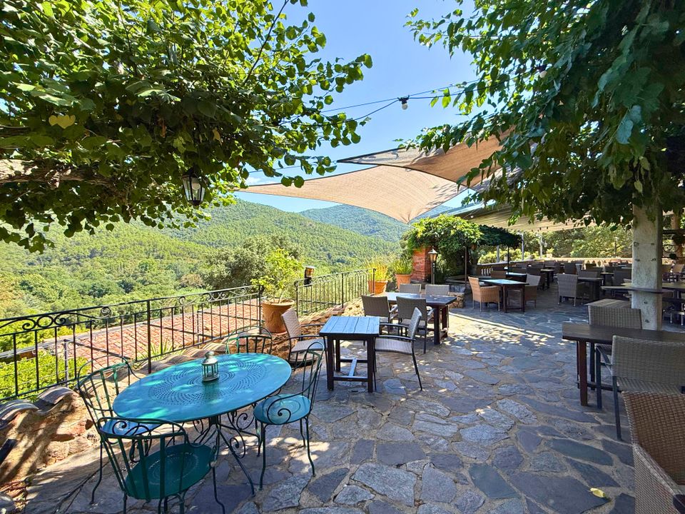 Erhvervsejendom i Saint-Tropez, Var - foto 2