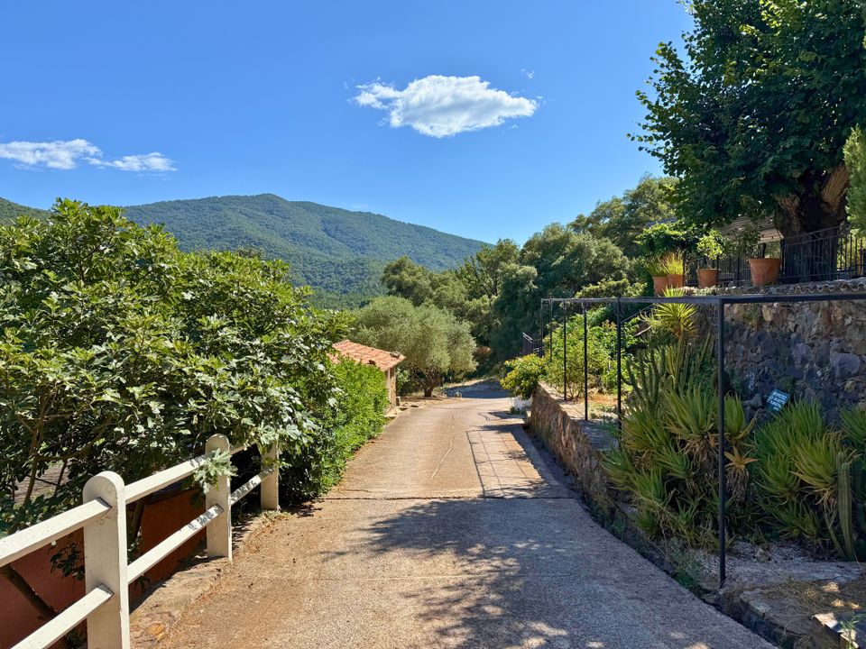Erhvervsejendom i Saint-Tropez, Var - foto 3