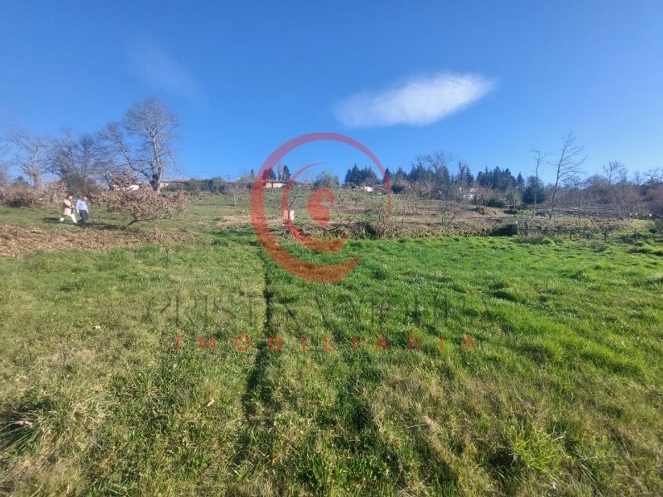 Helårsgrund i Vreia de Jales, Vila Real - foto 1