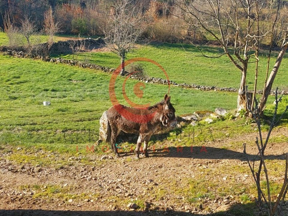 Helårsgrund i Vreia de Jales, Vila Real - foto 4