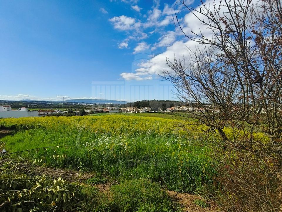 Farm i Riachos, Santarem - foto 2