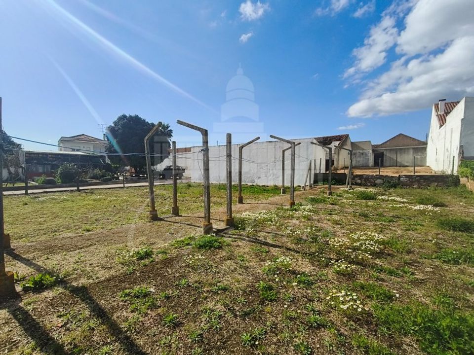Farm i Riachos, Santarem - foto 5