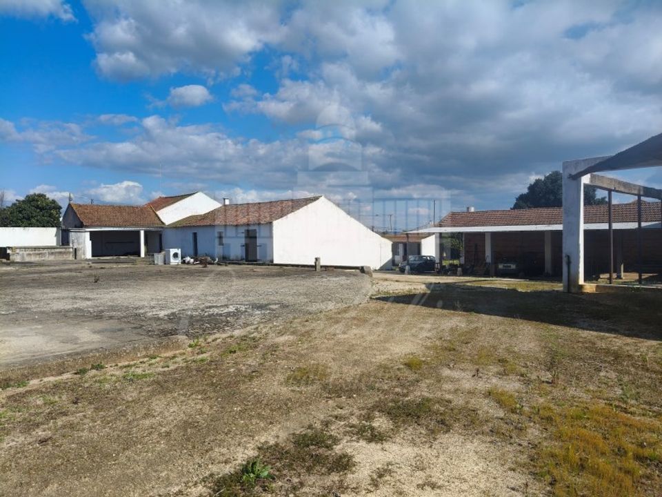 Farm i Riachos, Santarem - foto 3