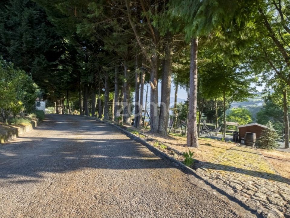 Farm i Santa Marinha do Zezere, Porto - foto 5