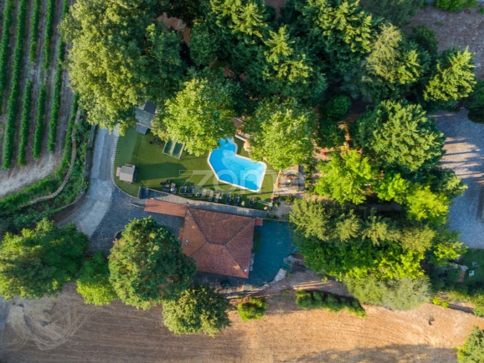 Farm i Santa Marinha do Zezere, Porto - foto 3