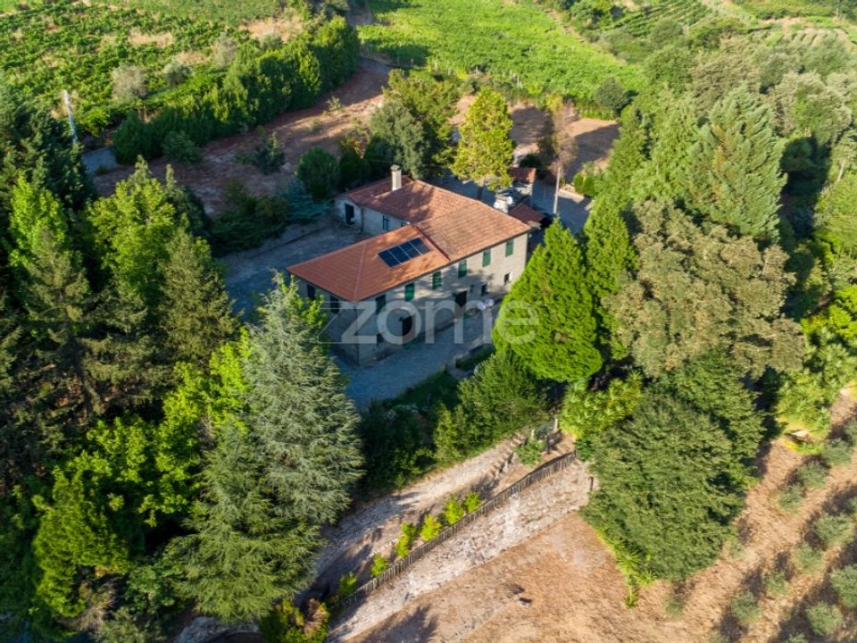 Farm i Santa Marinha do Zezere, Porto - foto 1