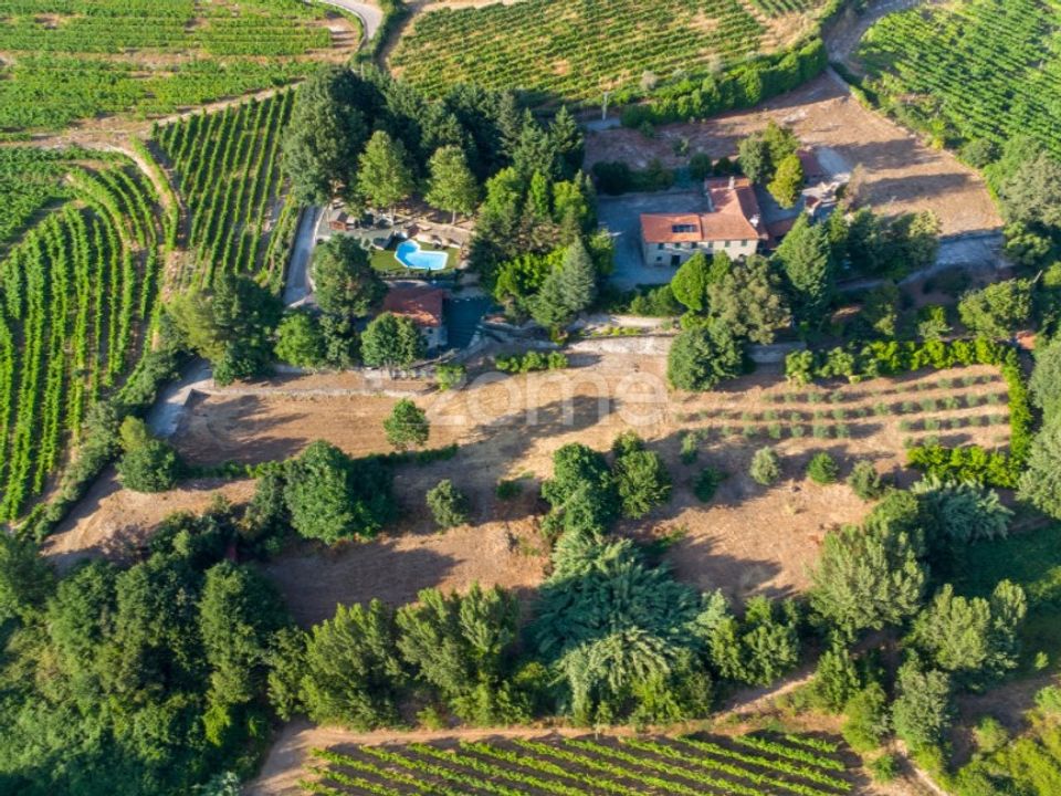 Farm i Santa Marinha do Zezere, Porto - foto 4