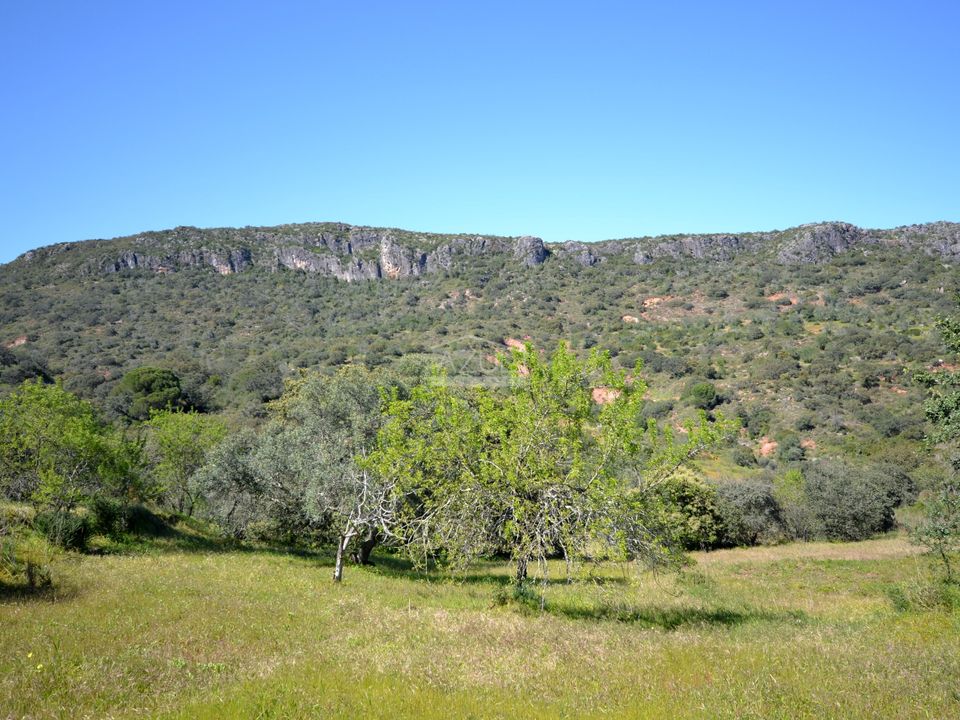 Helårsgrund i Loule, Faro - foto 2