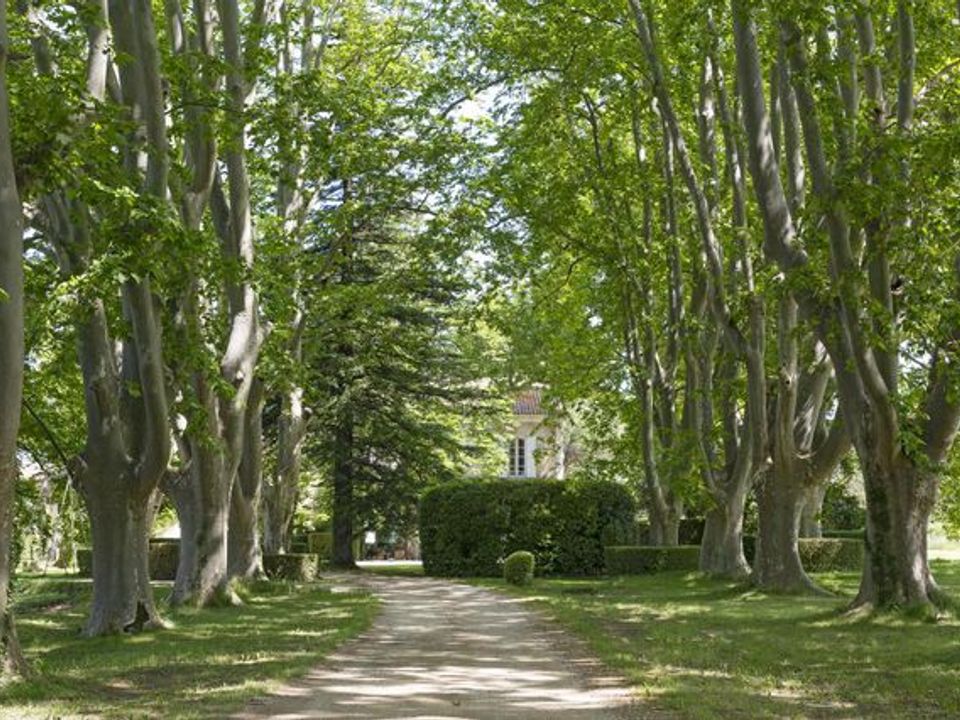 Erhvervsejendom i Gigondas, Vaucluse - foto 3