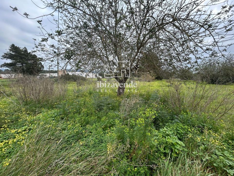 Finca i San Lorenzo De Balafia, Ibiza - foto 1