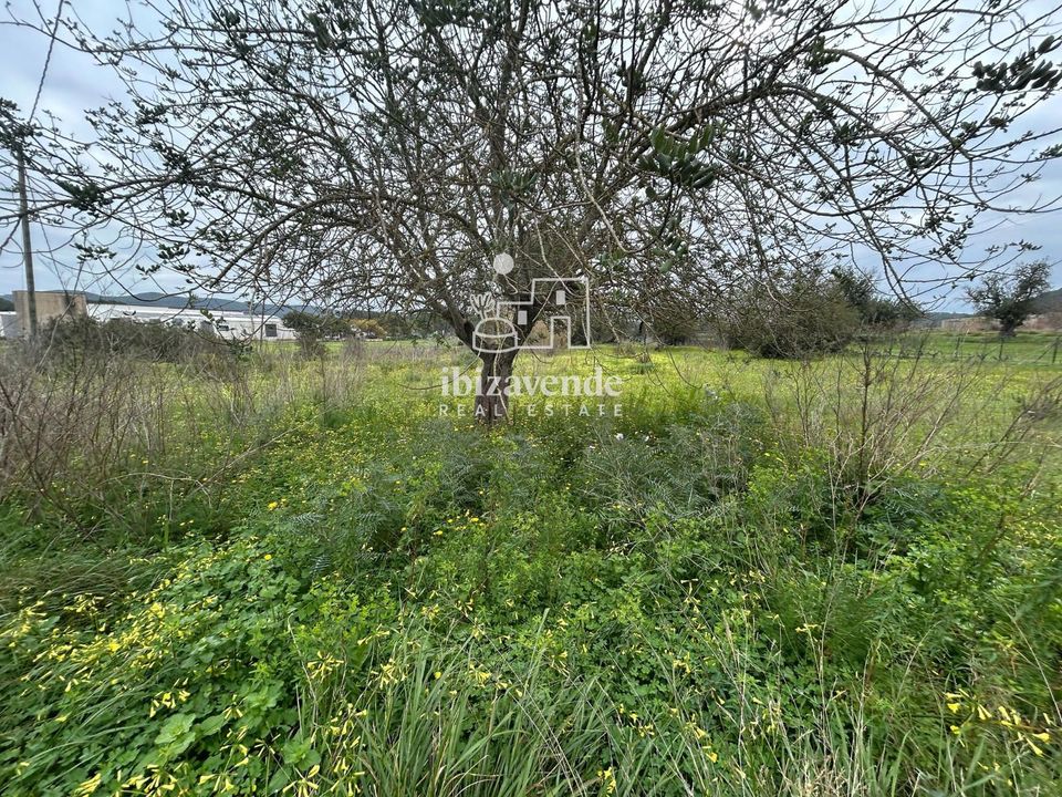 Finca i San Lorenzo De Balafia, Ibiza - foto 2