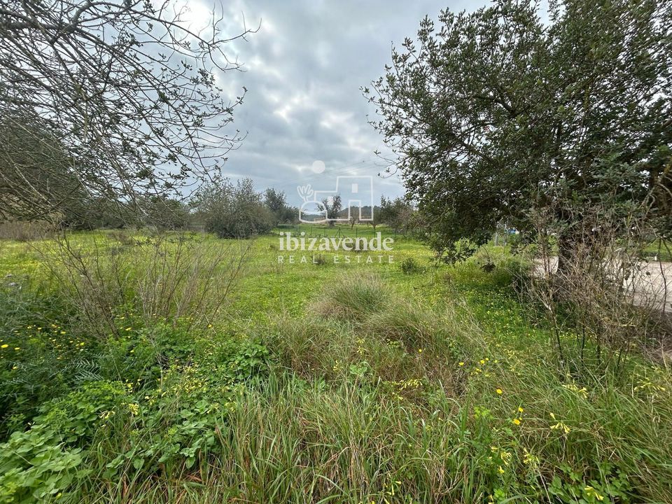 Finca i San Lorenzo De Balafia, Ibiza - foto 3