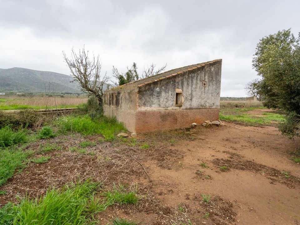 Finca i Ulldecona, Tarragona - bilde 1