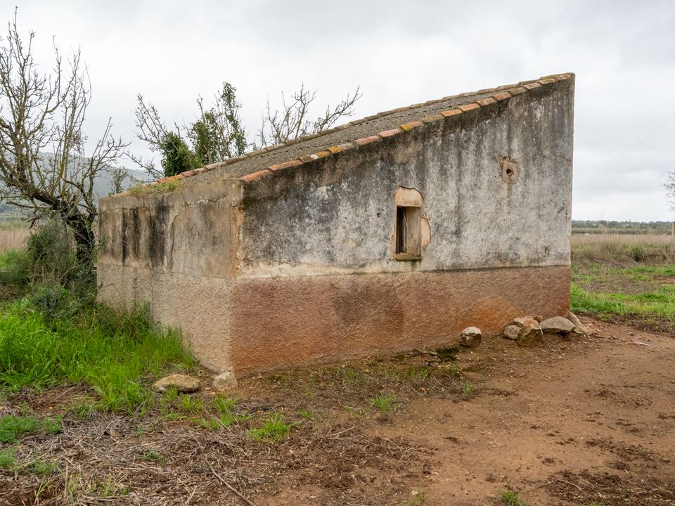 Finca i Ulldecona, Tarragona - bilde 2