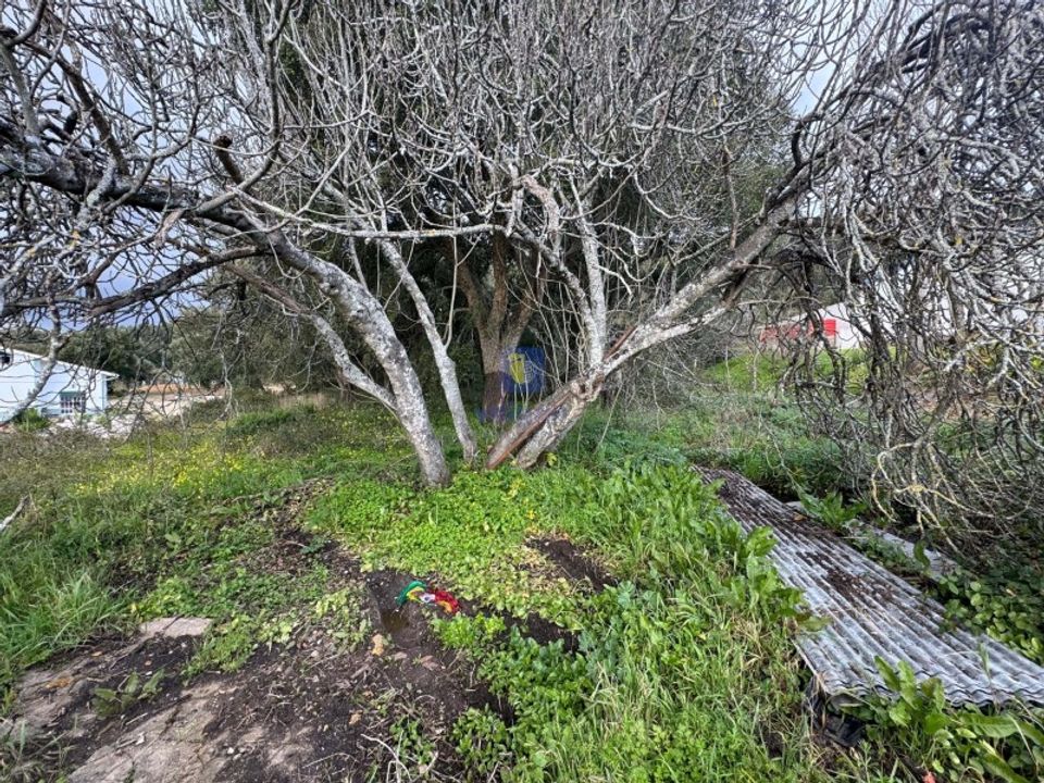 Helårsgrund i Rio Maior, Santarem - foto 3