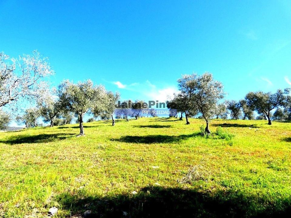 Helårsgrund i Vila Flor, Braganca - foto 1