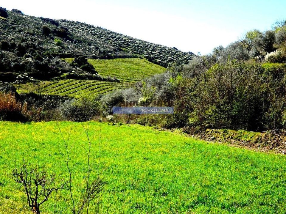Helårsgrund i Vila Flor, Braganca - foto 5