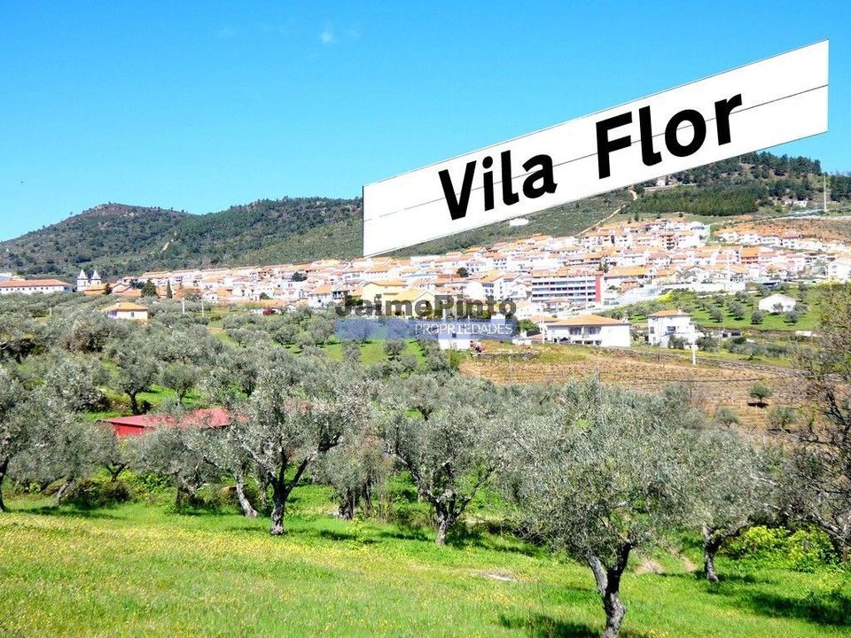 Erhvervsejendom i Vila Flor, Braganca - foto 1