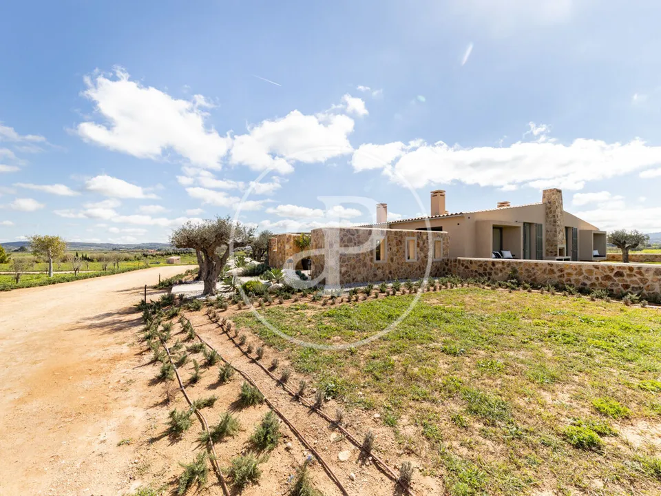 Villa in Algaida, Mallorca - foto 5