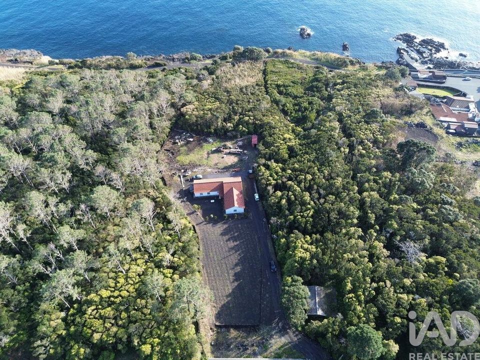 Byhus i Madalena, Pico - foto 2