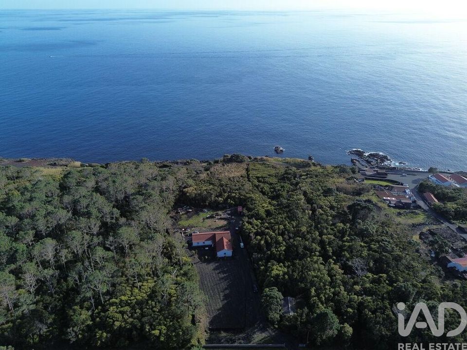 Byhus i Madalena, Pico - foto 1