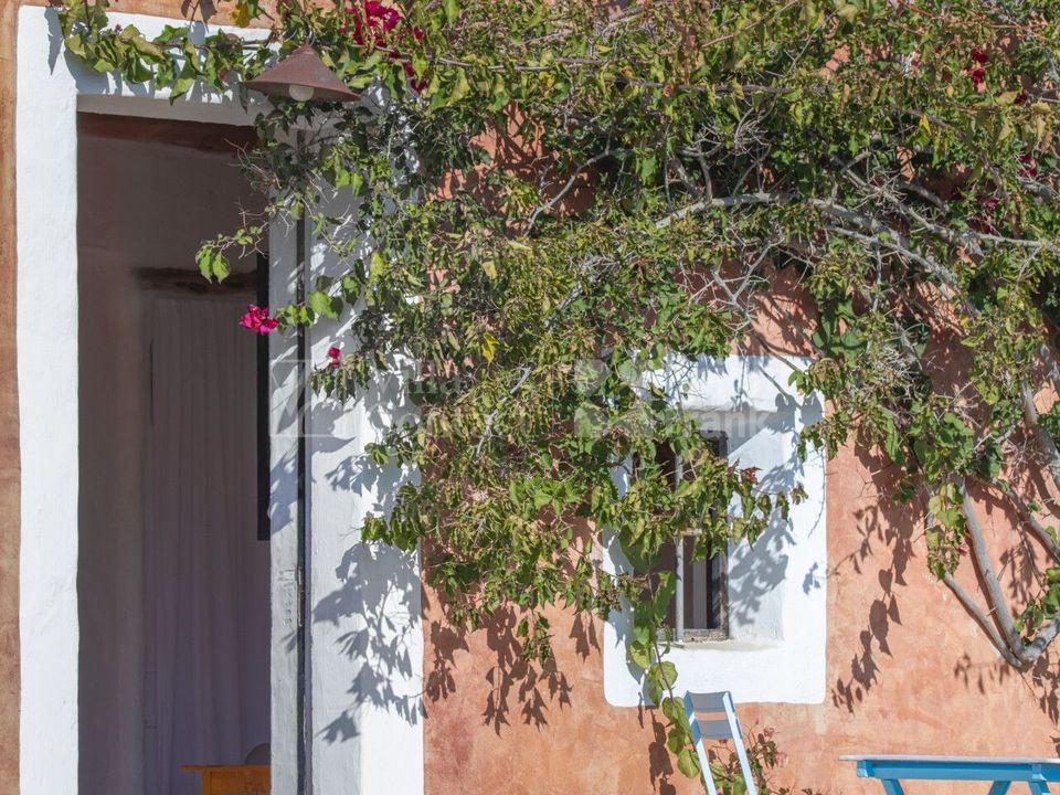 Farm i San Antonio De Portmany, Ibiza - foto 3