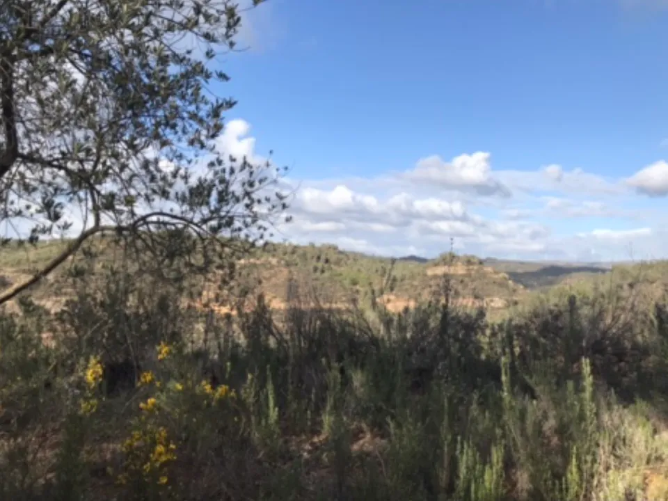 Finca i Flix, Tarragona - foto 5