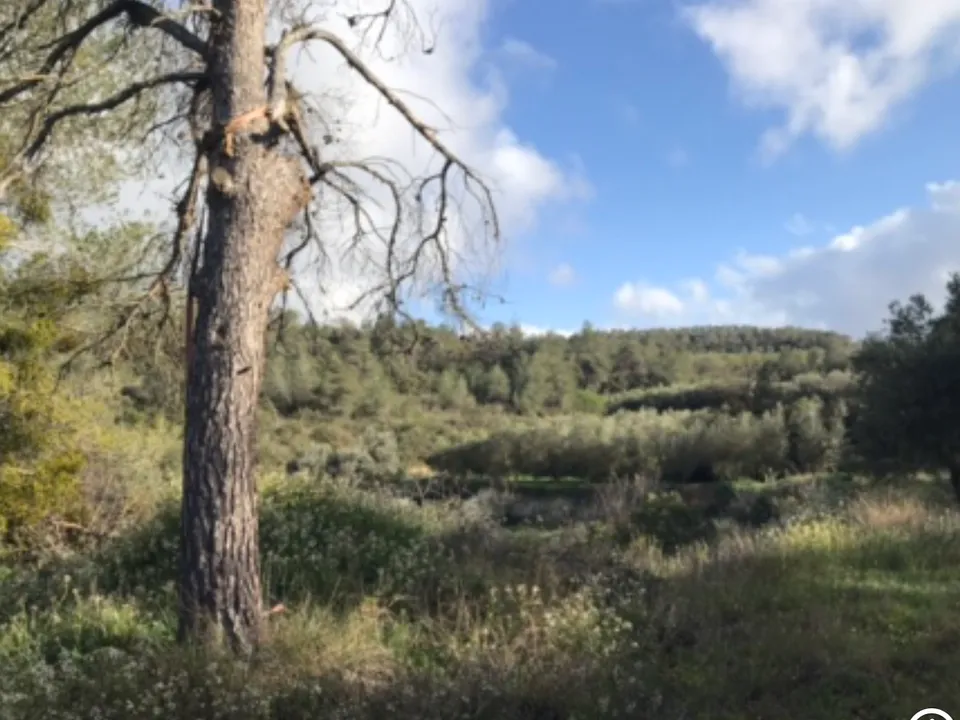 Finca i Flix, Tarragona - foto 4