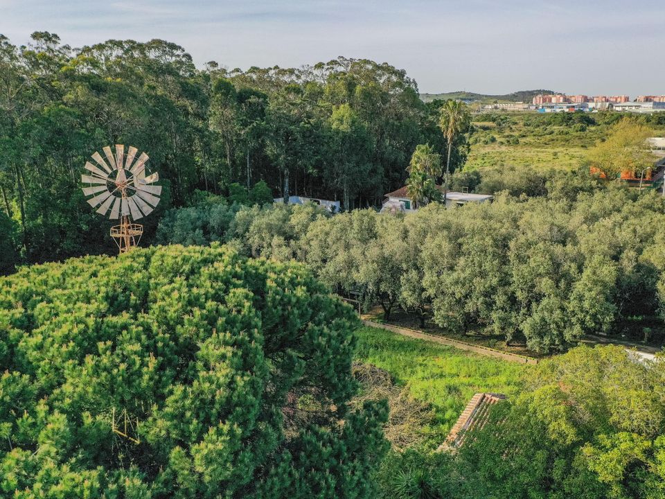 Farm hus i Sintra, Lisbon - foto 3