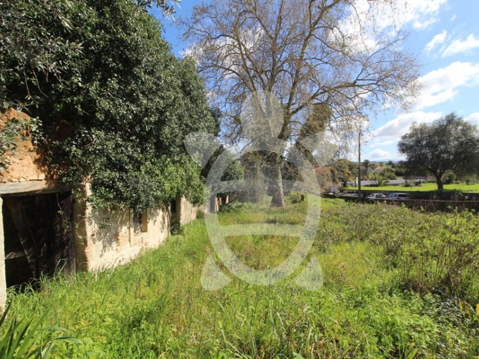 Helårsgrund i Condeixa-a-Nova, Coimbra - foto 3