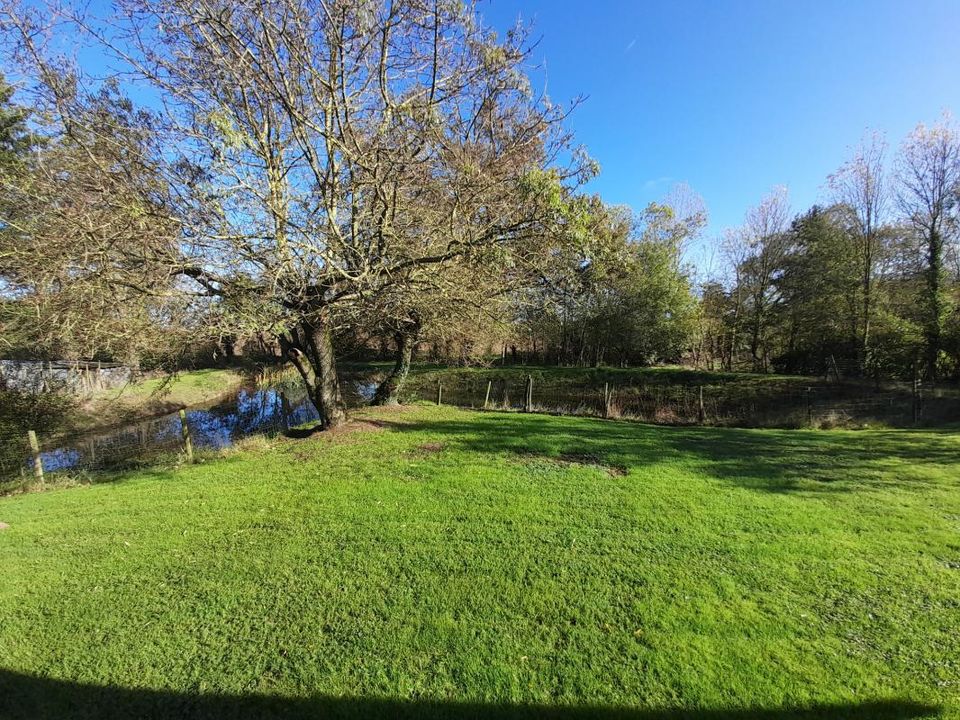 Villa i Maumusson, Loire-Atlantique - foto 5