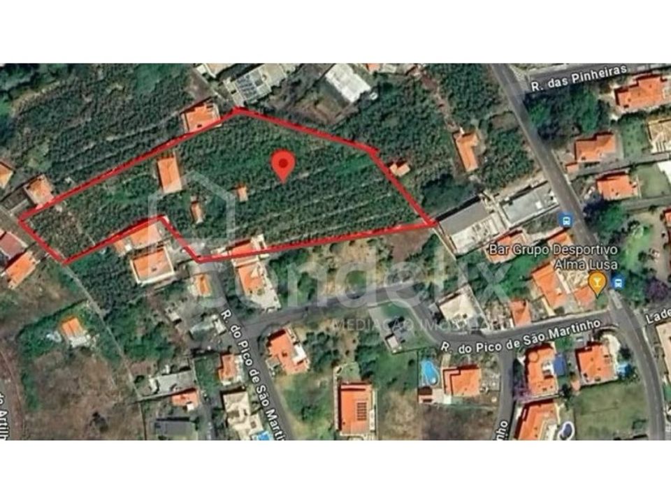Villa i Funchal, Madeira - foto 5