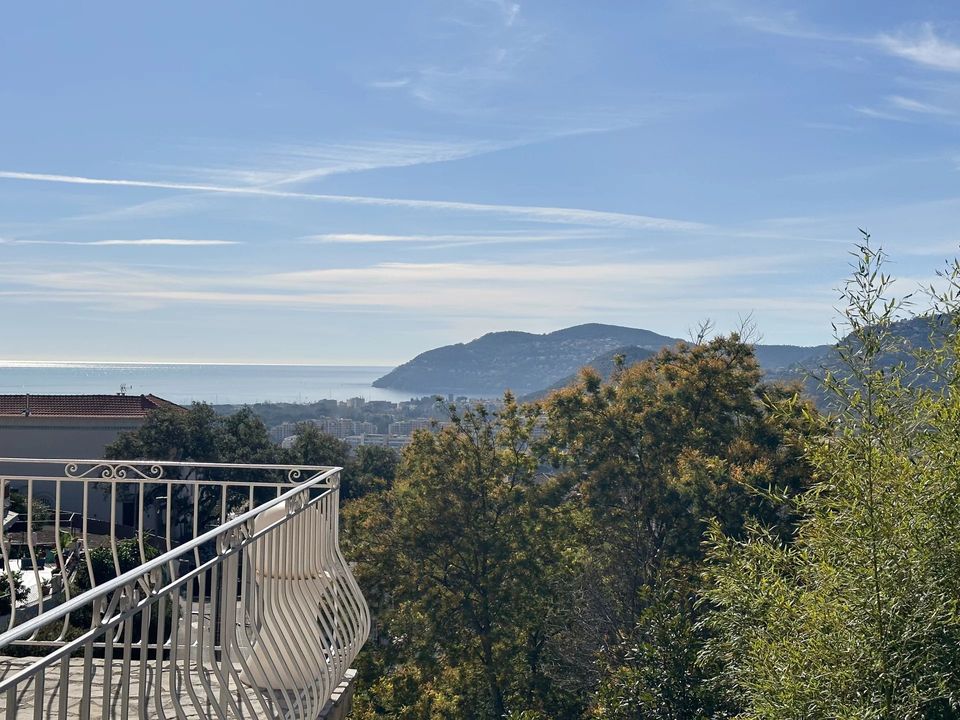 Villa i Mandelieu-la-Napoule, Alpes-Maritimes - foto 5