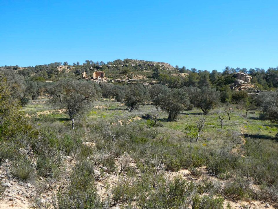Finca i Fabara, Zaragoza - foto 1