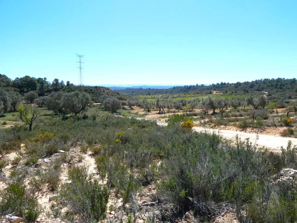 Finca i Fabara, Zaragoza - foto 2