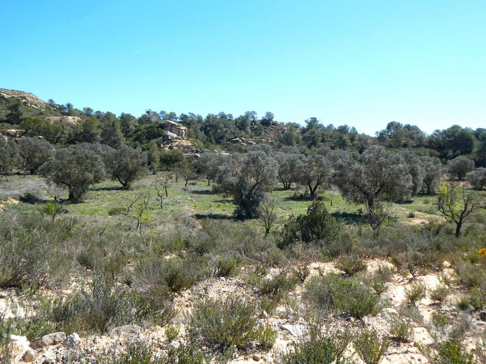 Finca i Fabara, Zaragoza - foto 3